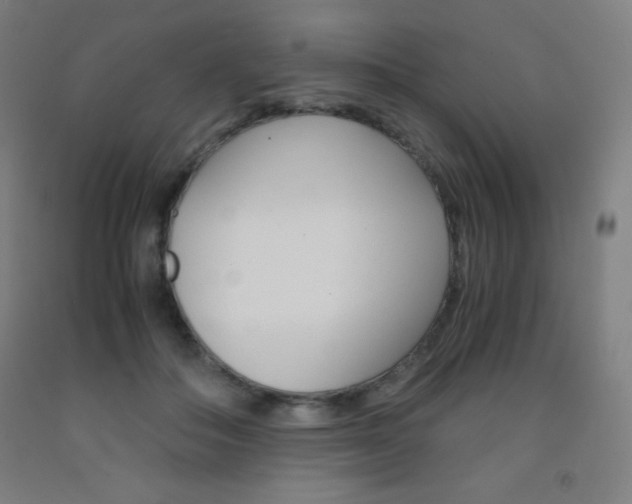 X0000093120506200709261017