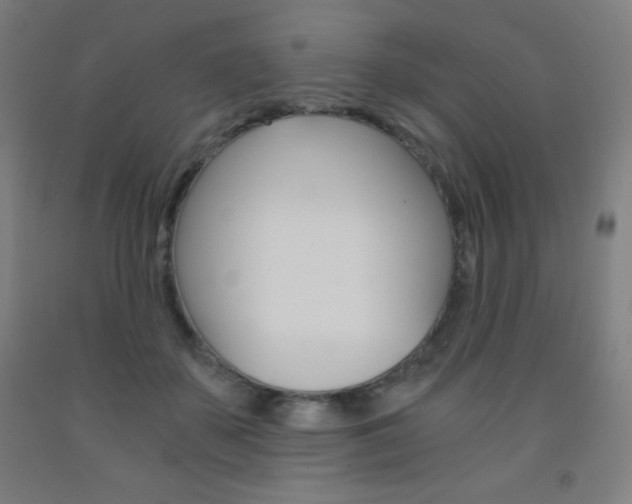 X0000093120507200709261017