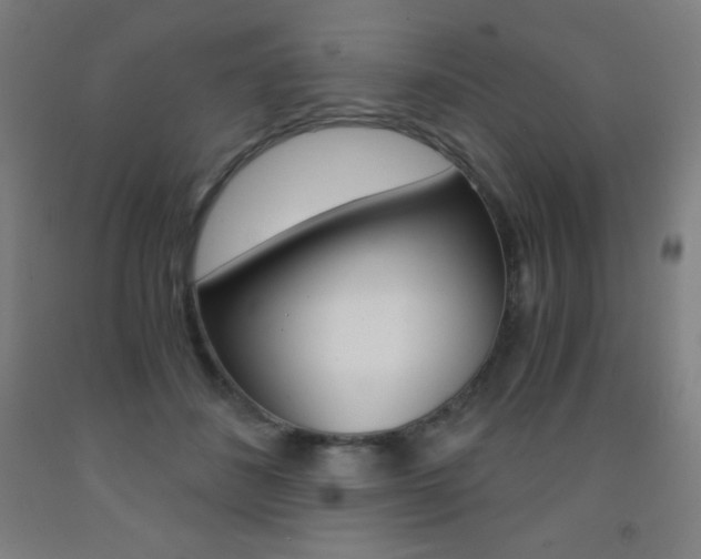 X0000093120508200709261017