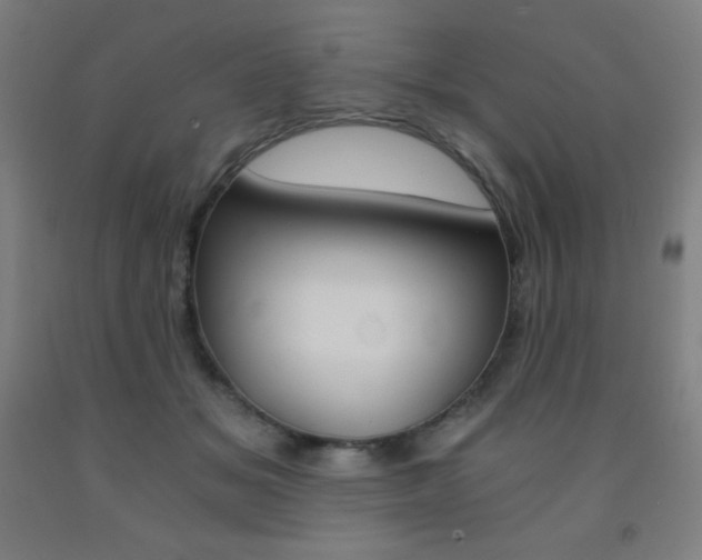 X0000093120509200709261017