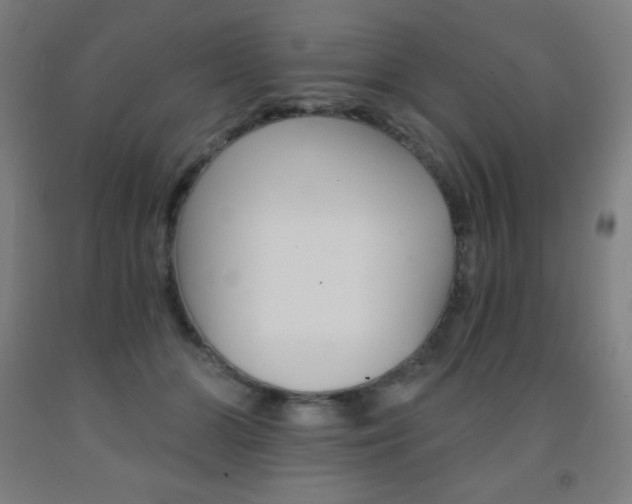 X0000093120510200709261017