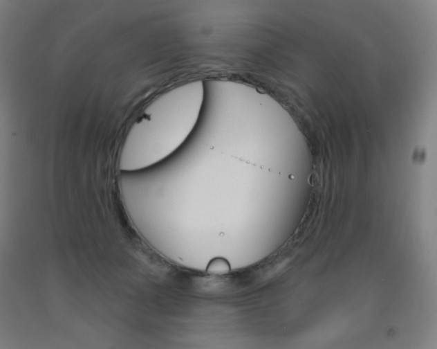 X0000093120511200709261017
