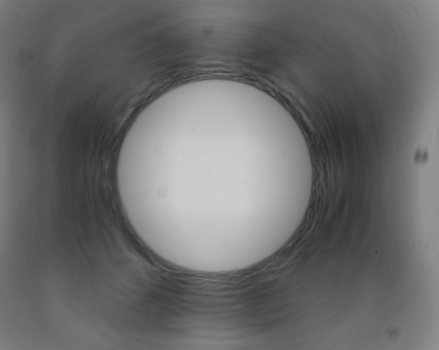X0000093120512200709261017