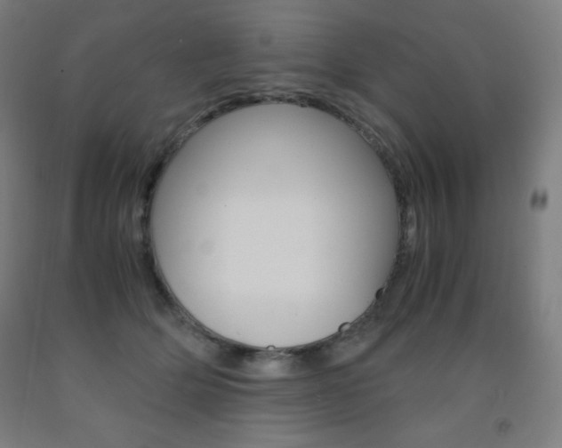 X0000093120514200709261017