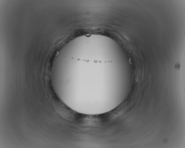 X0000093120515200709261017