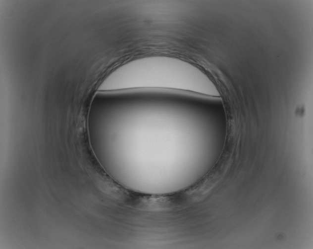 X0000093120517200709261017