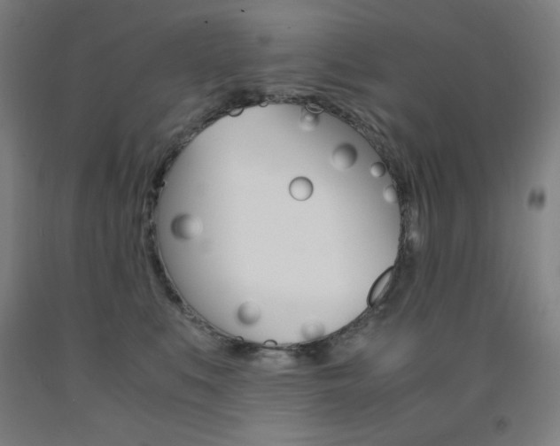 X0000093120519200709261017