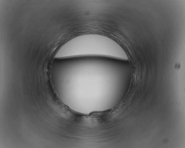 X0000093120520200709261017