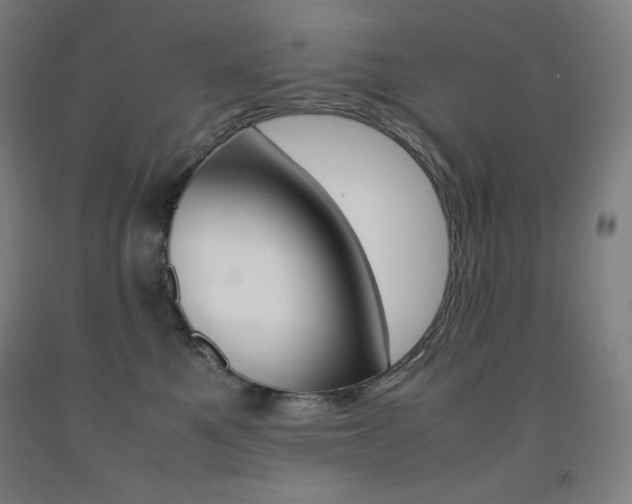 X0000093120521200709261016