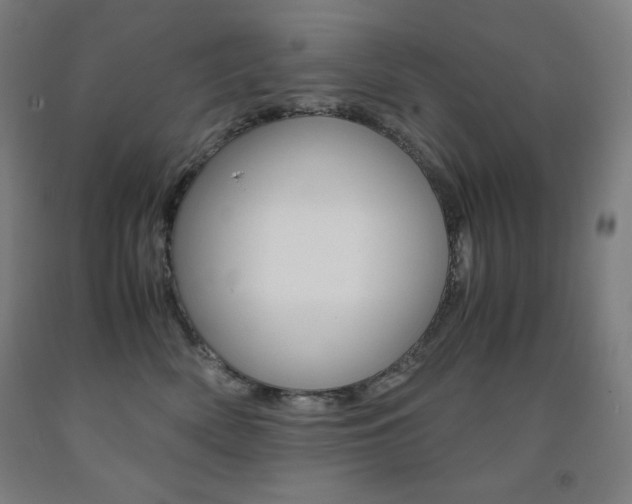 X0000093120522200709261016