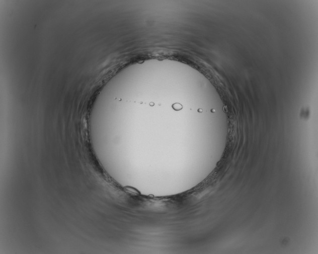 X0000093120523200709261016
