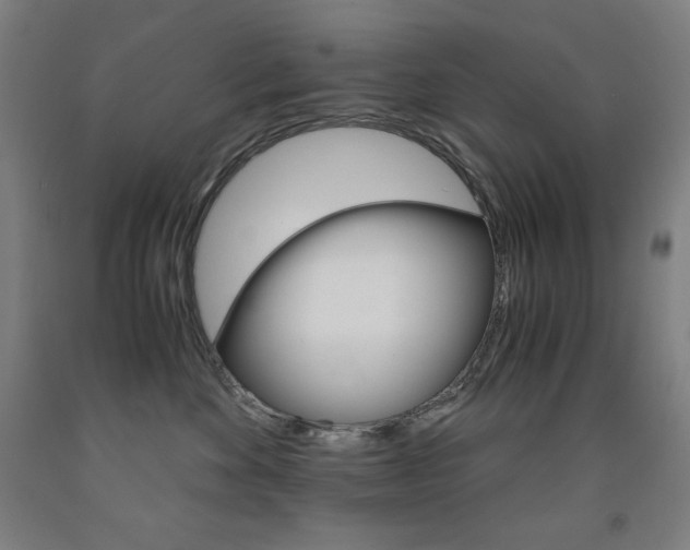 X0000093120524200709261016