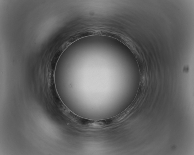 X0000093120525200709261016