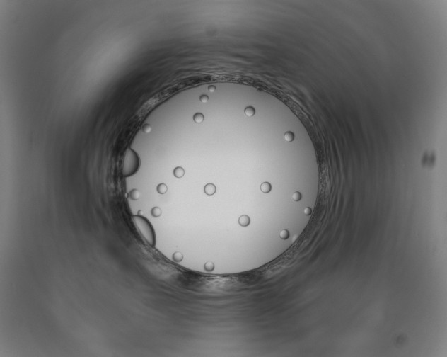 X0000093120527200709261016