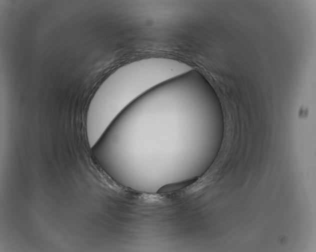 X0000093120528200709261016