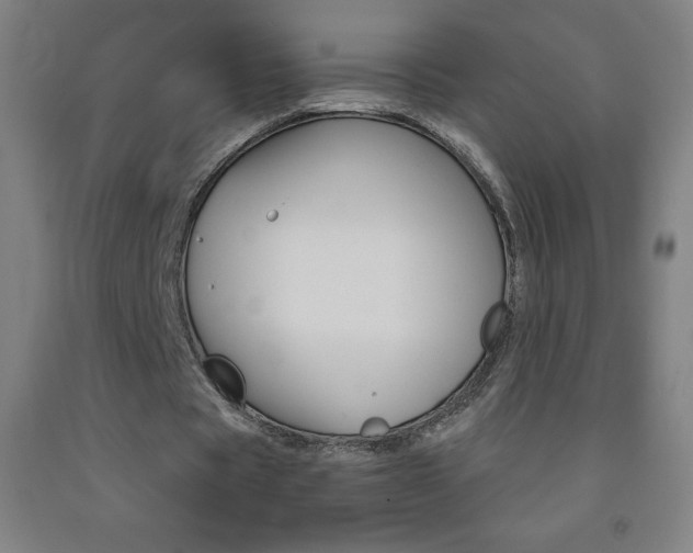 X0000093120529200709261016