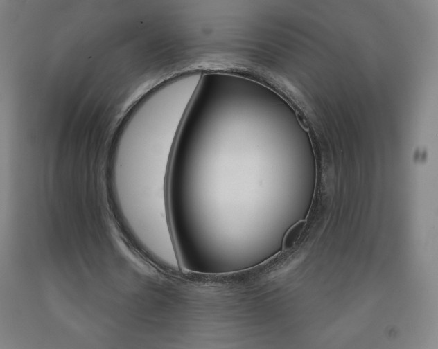 X0000093120530200709261016