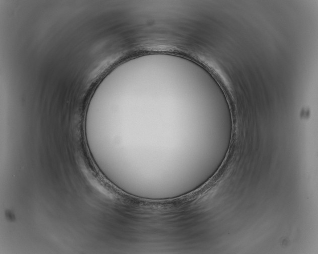 X0000093120533200709261016