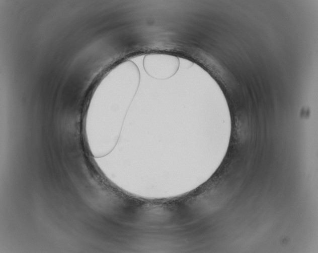 X0000093120534200709261016