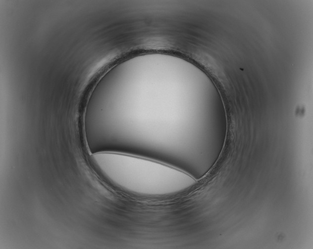 X0000093120535200709261016