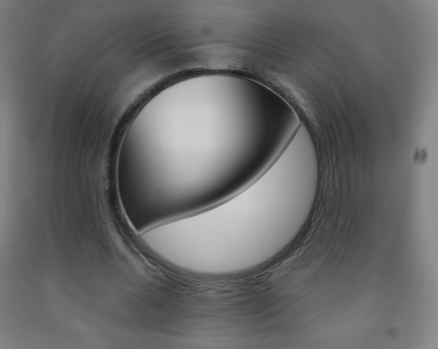 X0000093120536200709261016