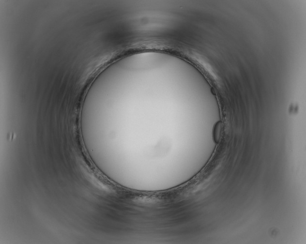X0000093120537200709261016