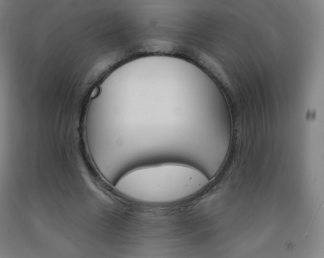 X0000093120538200709261016