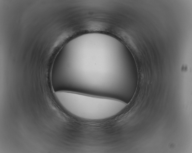 X0000093120539200709261016