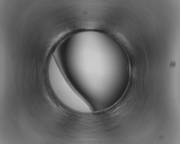X0000093120540200709261016