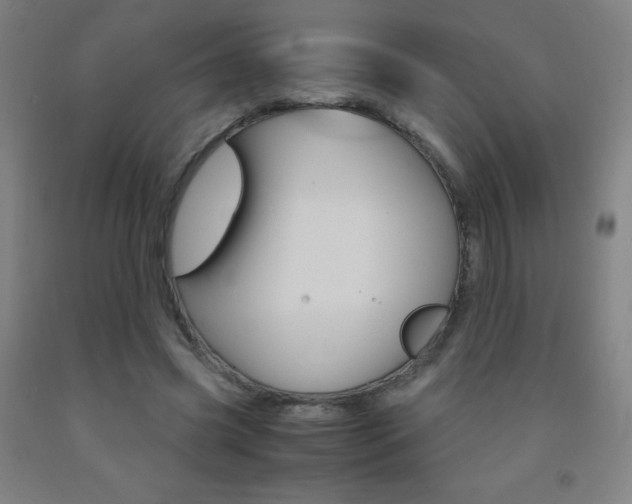 X0000093120541200709261016