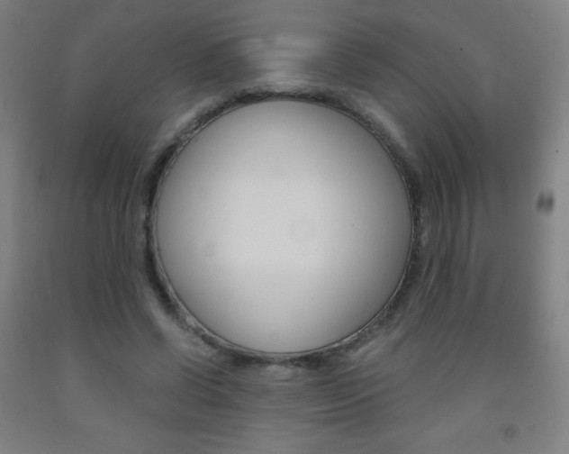 X0000093120542200709261016