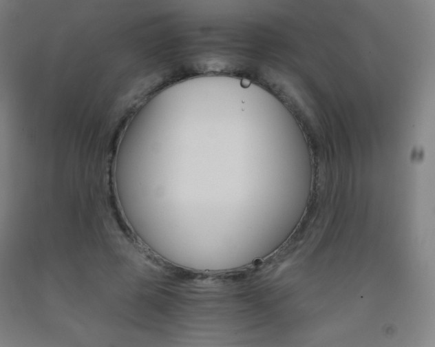 X0000093120545200709261016