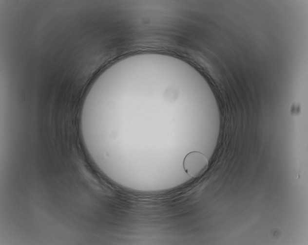 X0000093120546200709261016