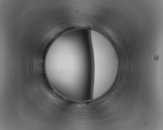 X0000093120548200709261016