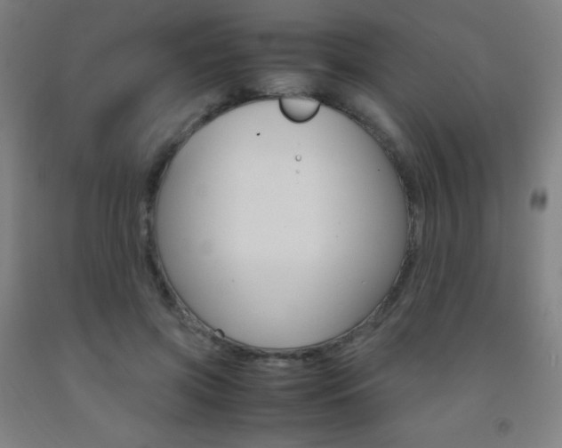 X0000093120549200709261016