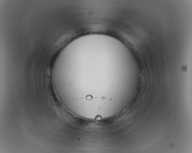 X0000093120550200709261016