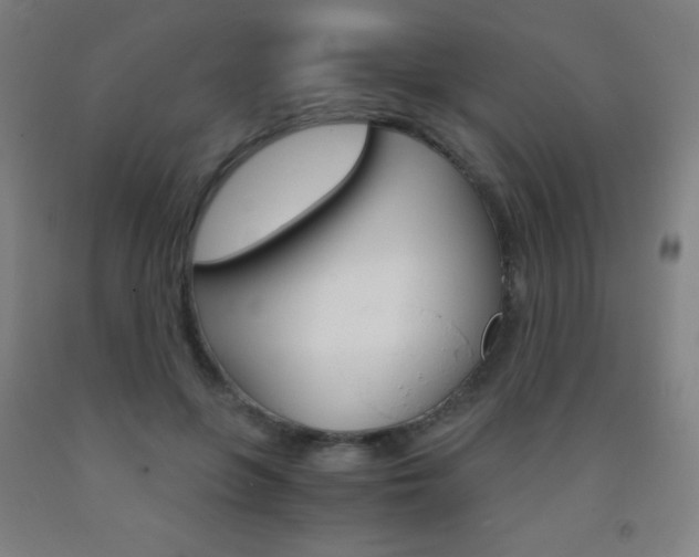 X0000093120551200709261016