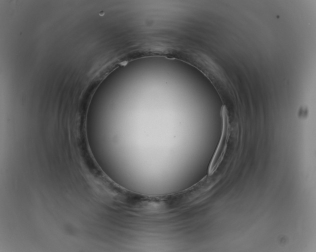 X0000093120552200709261016