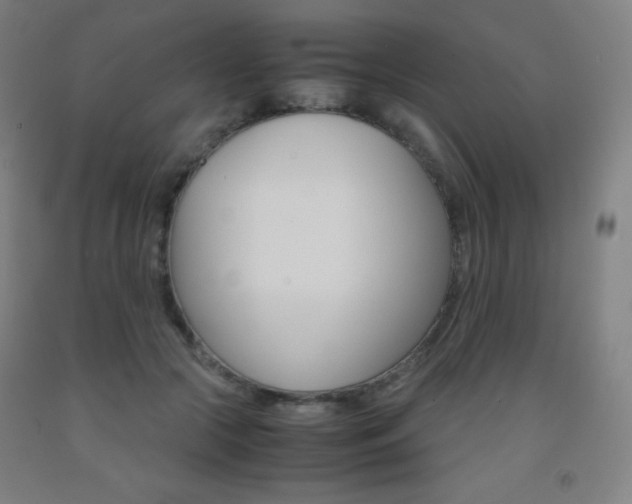 X0000093120553200709261016