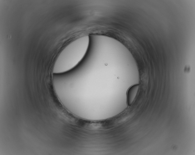 X0000093120554200709261016