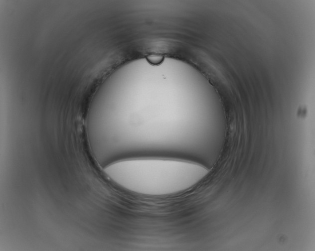 X0000093120555200709261016