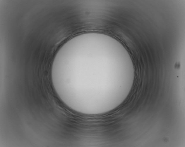 X0000093120556200709261016