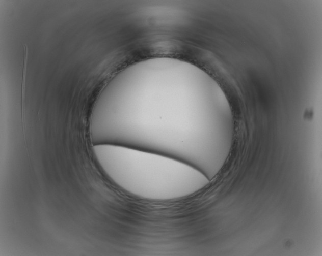 X0000093120557200709261016