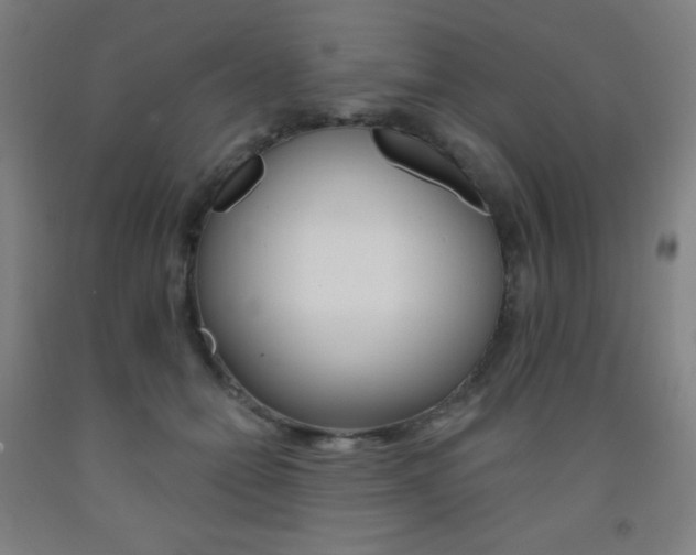 X0000093120558200709261016