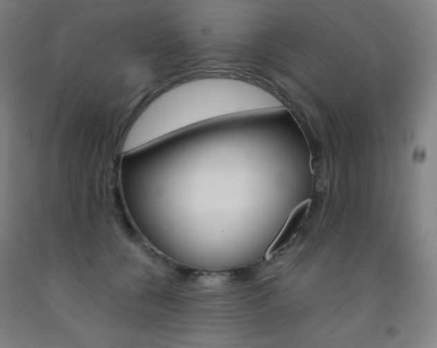 X0000093120560200709261016