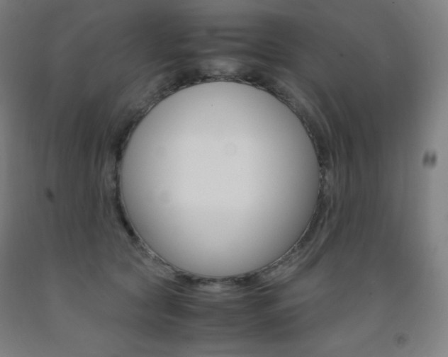X0000093120561200709261016