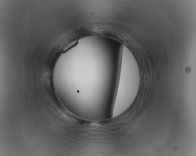 X0000093120562200709261016