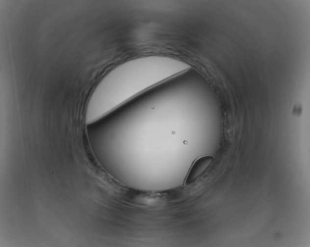 X0000093120563200709261016
