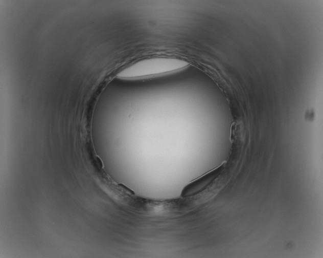 X0000093120564200709261016