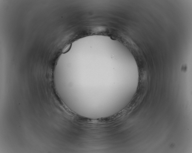 X0000093120565200709261016